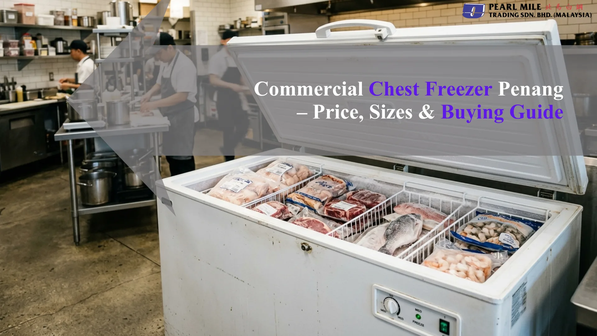 Commercial chest freezer for restaurants and food businesses in Penang